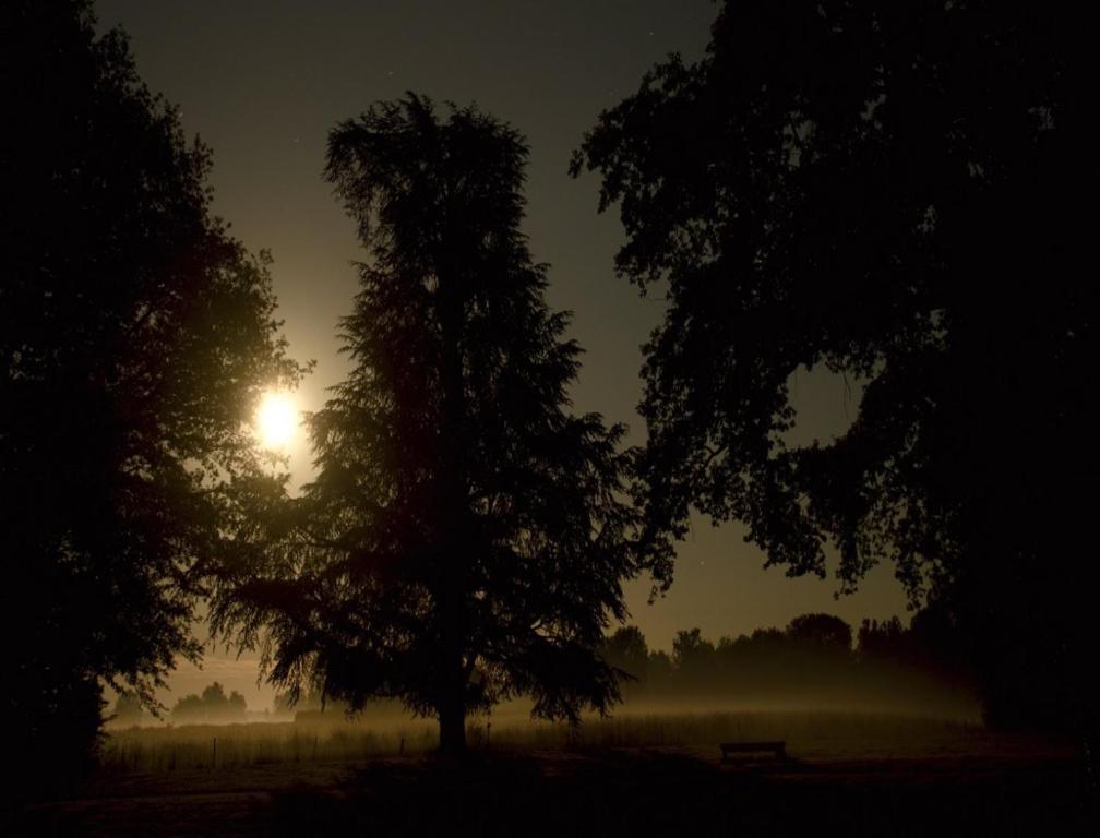 Chateau De Villars Villeneuve-sur-Allier Esterno foto