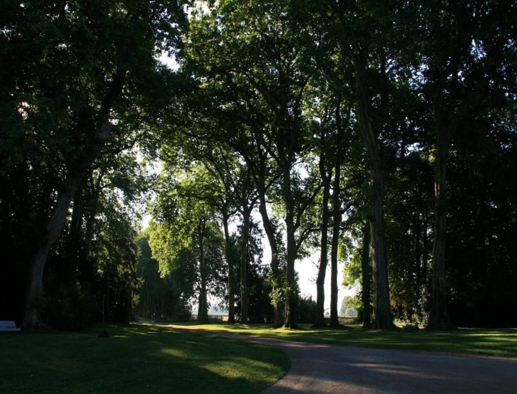Chateau De Villars Villeneuve-sur-Allier Esterno foto