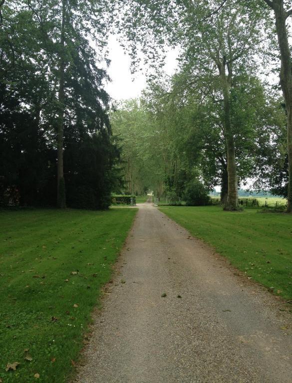 Chateau De Villars Villeneuve-sur-Allier Esterno foto